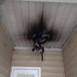 Electrical Repairs