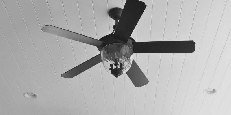 Ceiling Fans