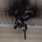 Electrical Repairs